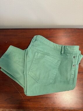 life in progress women’s Sage Green Chinos